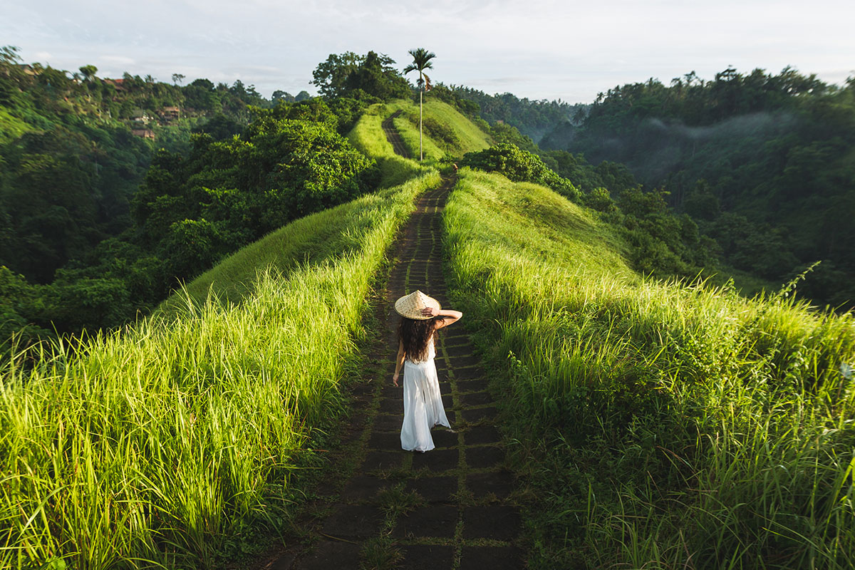 Campuhan Ridge Walk 1